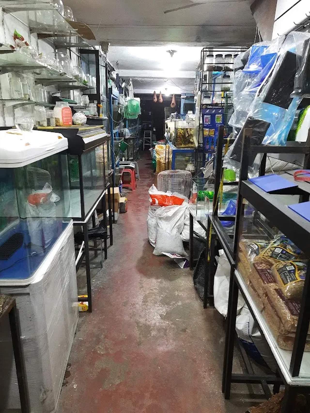 Kandy Aquarium
